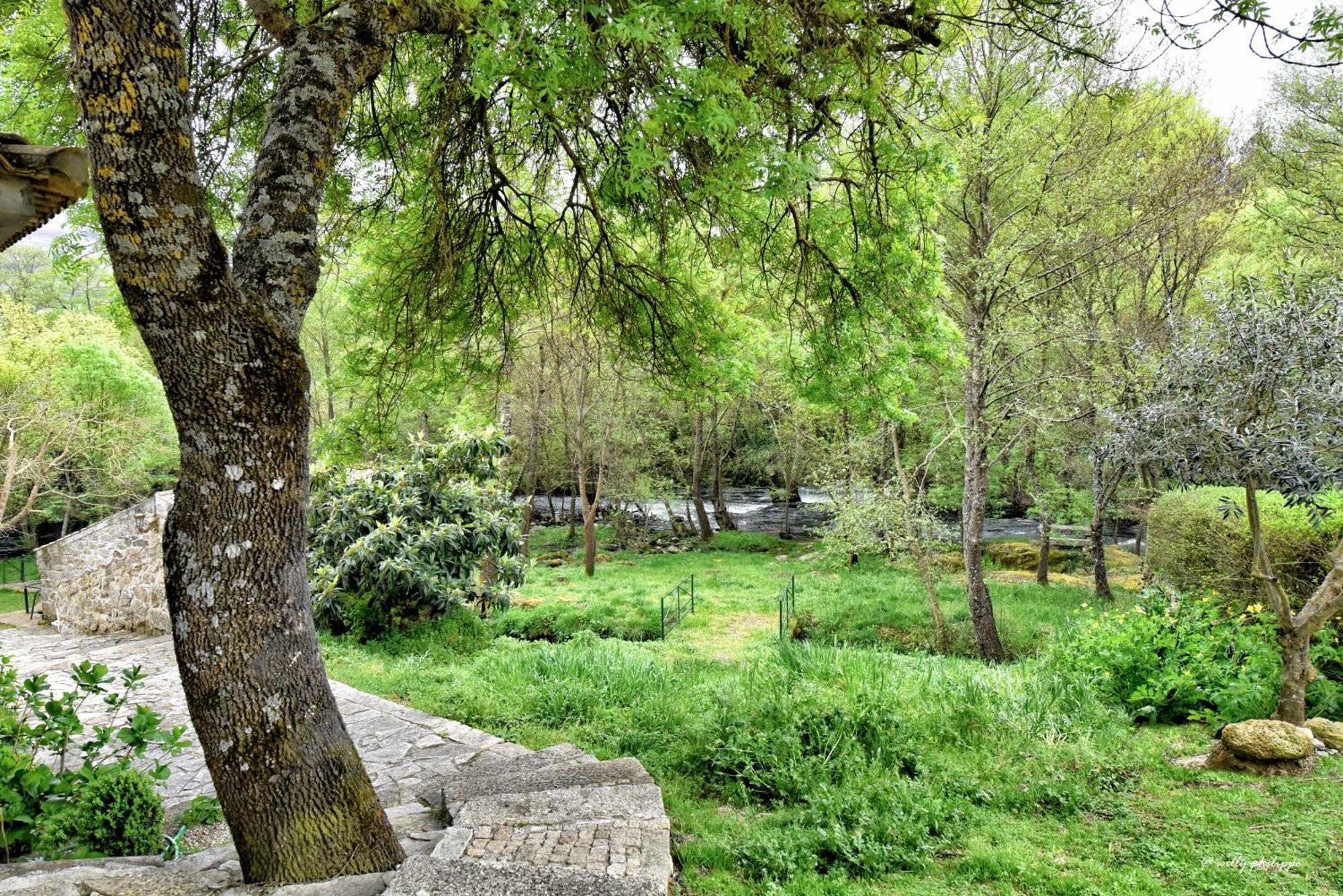 Quinta Do Moinho Turismo De Natureza Aldeia Vicosa Luaran gambar